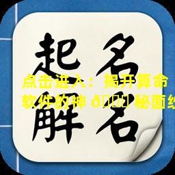点击进入：揭开算命软件的神 🐝 秘面纱